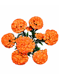 Гортензия арт. 3181-107