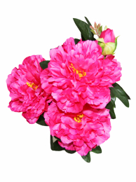 Пион арт. 3181-56