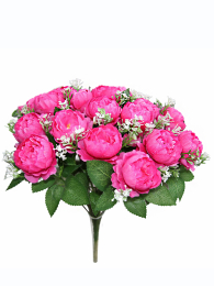 Пион арт.3181-86