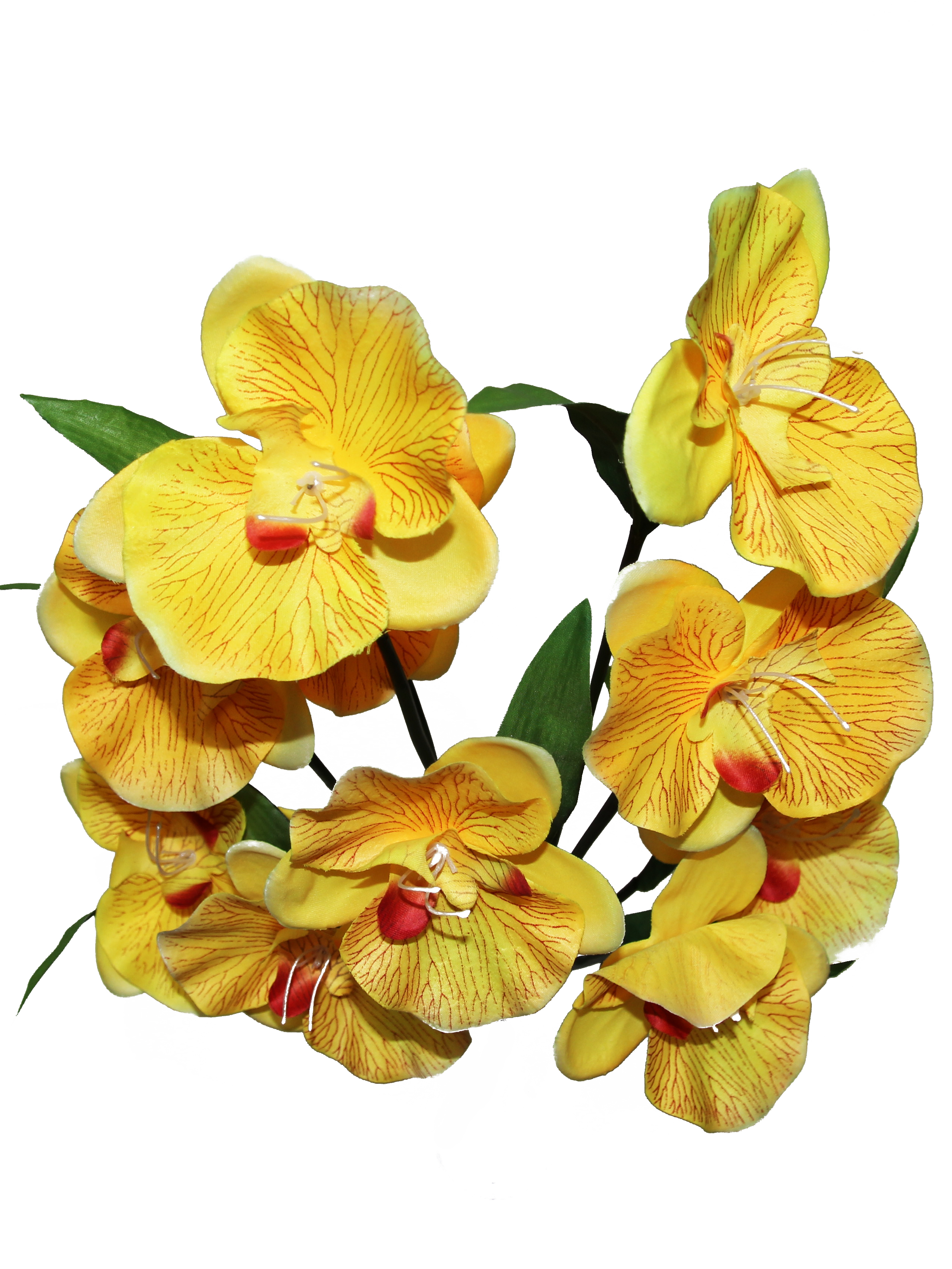Орхидея арт. 3179-012